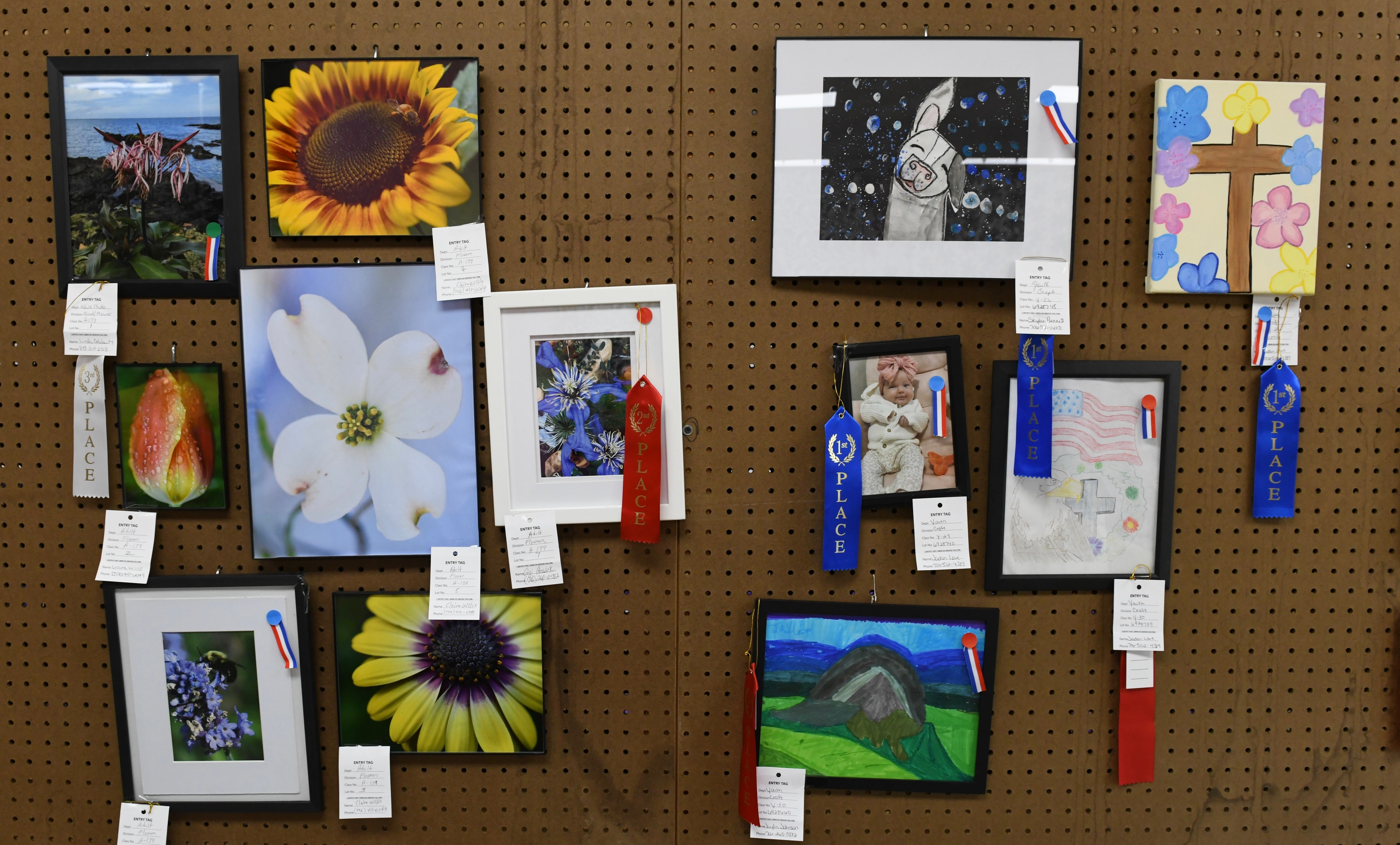 Award-winning artwork displayed on pegboard wall at the Gilmer County Fair