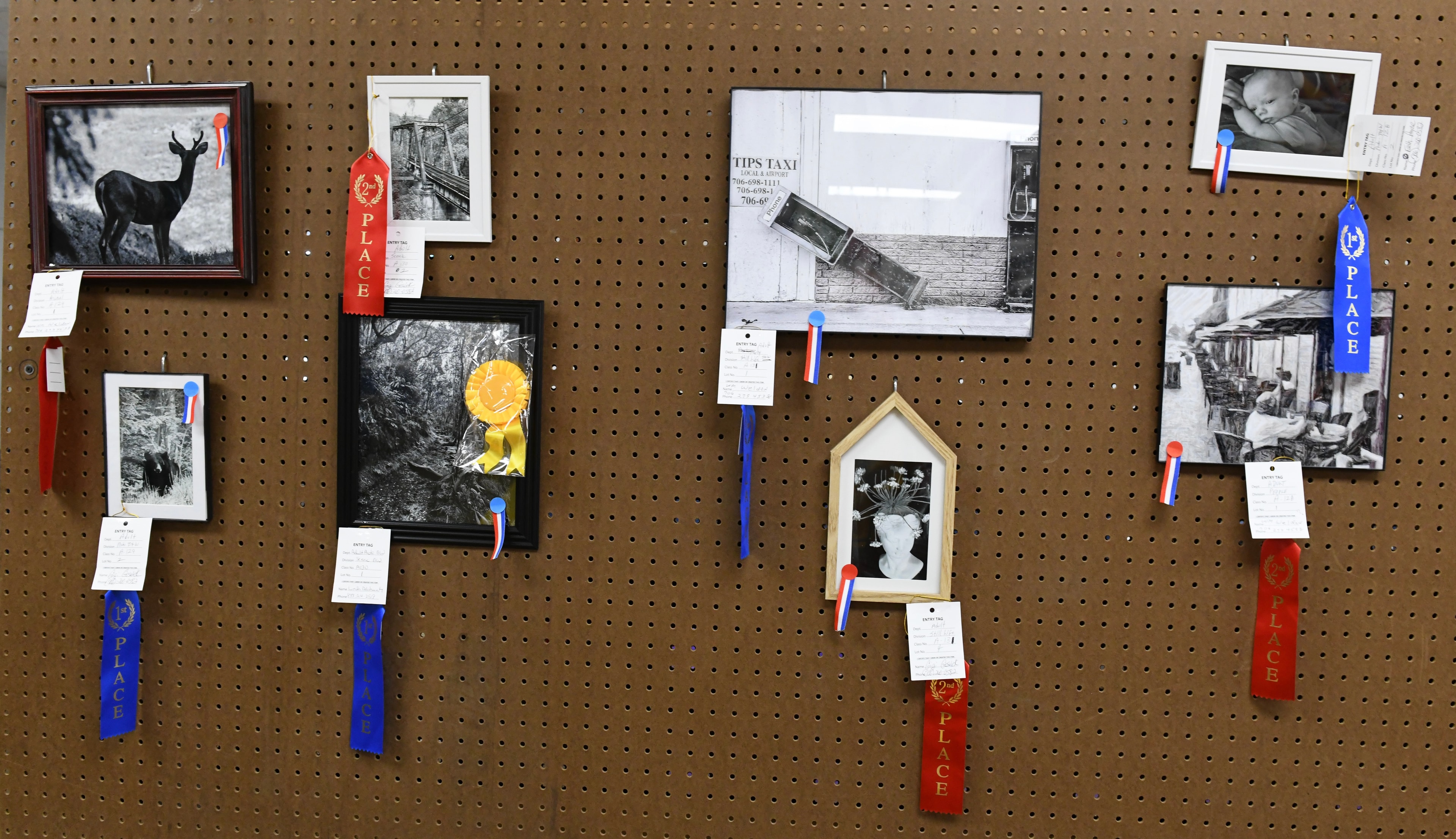 Award-winning photographs displayed on pegboard wall at the Gilmer County Fair